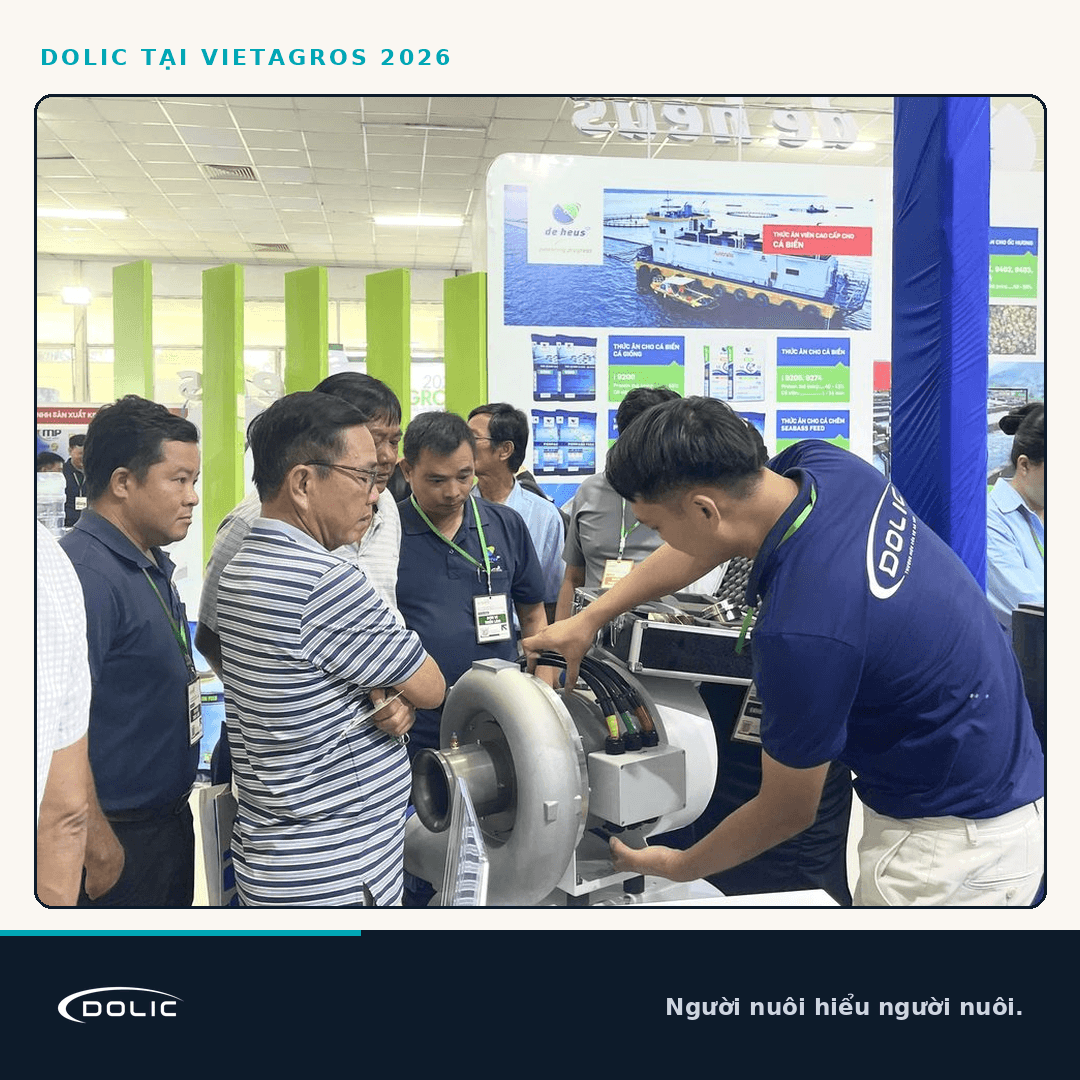 Tin tức / Sự kiện