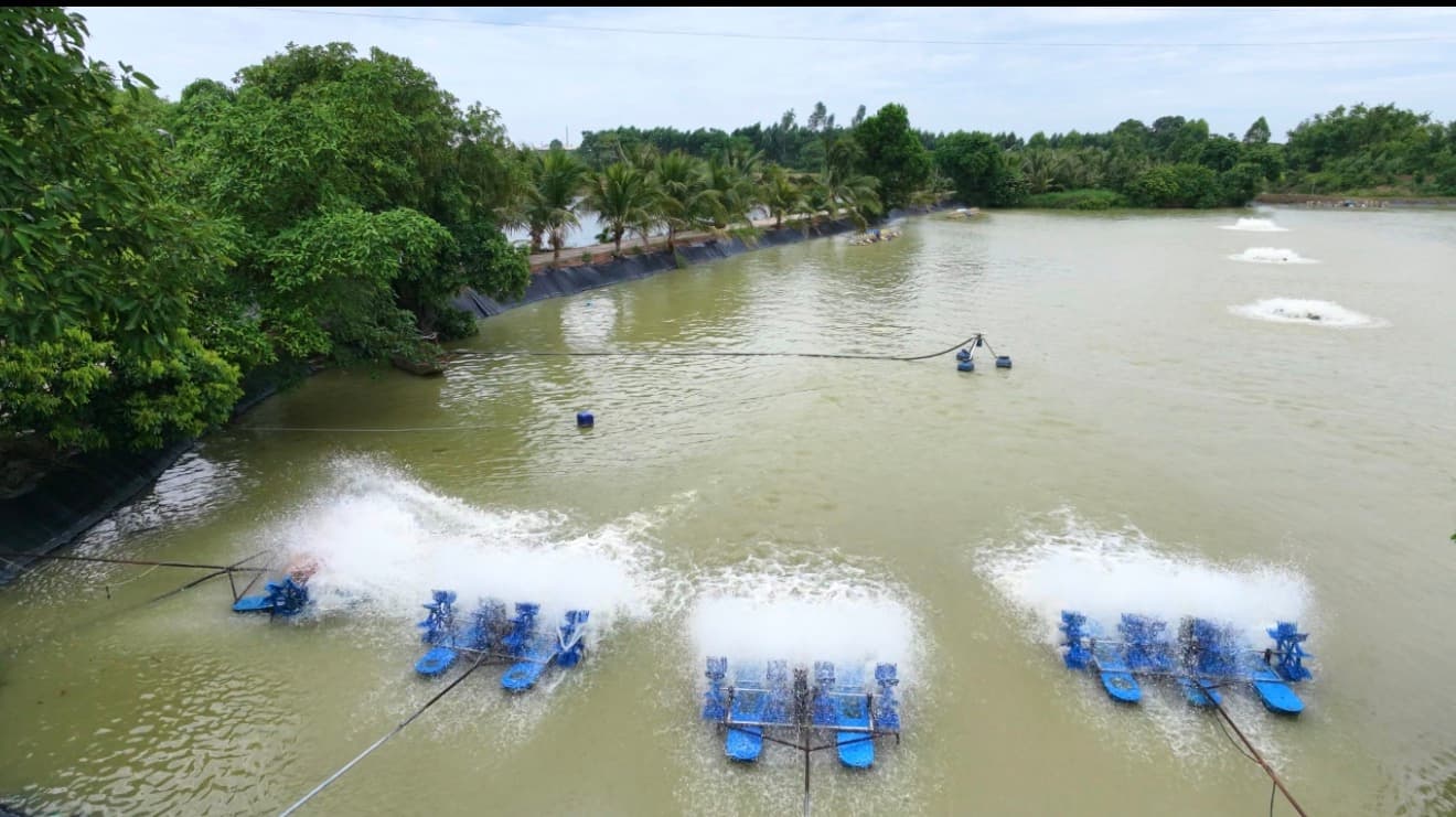 Thiết bị đã qua kiểm chứng